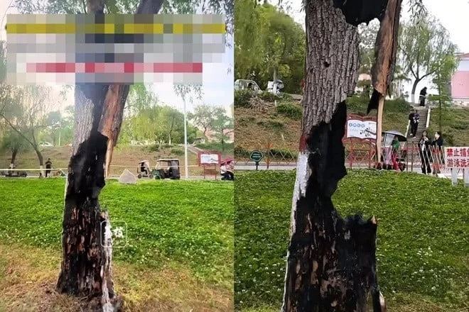 Туристы выстраиваются в длинную очередь, чтобы набрать родниковую воду «первую в мире».
